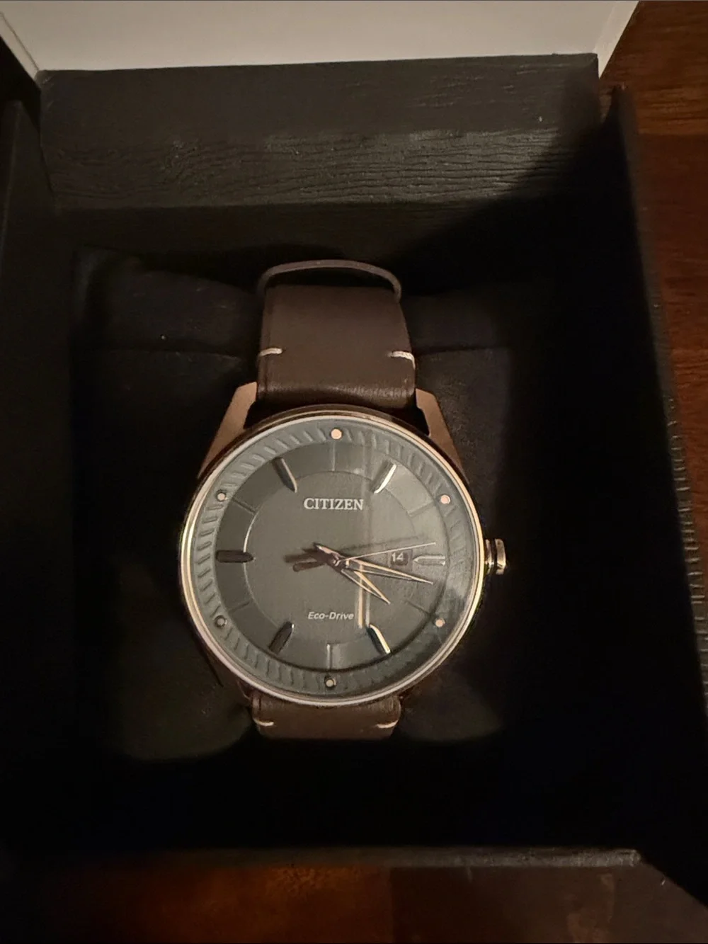 Citizen Black and White Watch Box